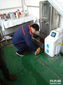 专业守护 图邦净控虫公司，您的上海保洁消毒与白蚁防治专家